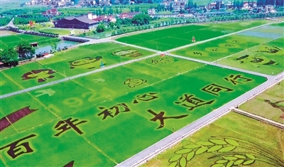 杭州农业水价改革“五个一百”创建示范活动